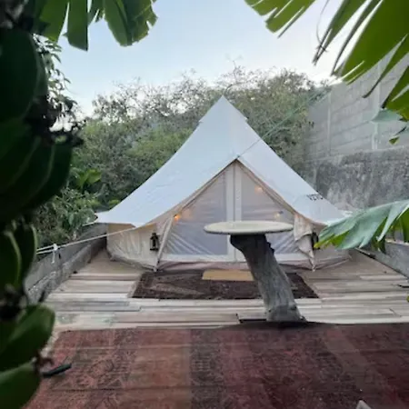Luxury tent Yurt In Avocado Garden Guimar