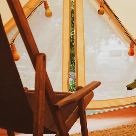 Luxury tent Yurt In Avocado Garden