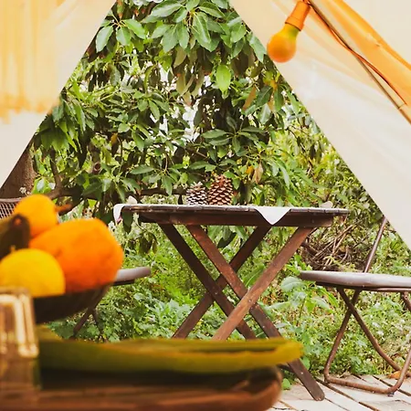 Luxury tent Yurt In Avocado Garden Guimar