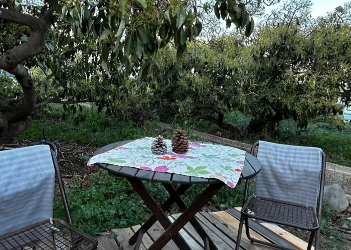 Luksustelt Yurt In Avocado Garden *