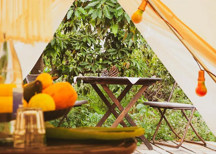 Luksustelt Yurt In Avocado Garden Güimar
