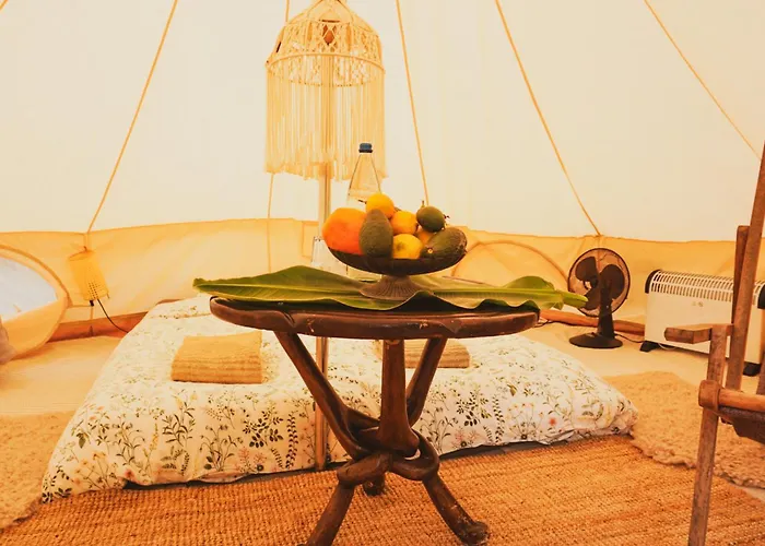 Yurt In Avocado Garden Güimar
