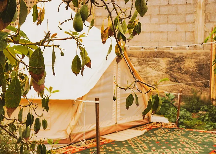 Luksustelt Yurt In Avocado Garden *
