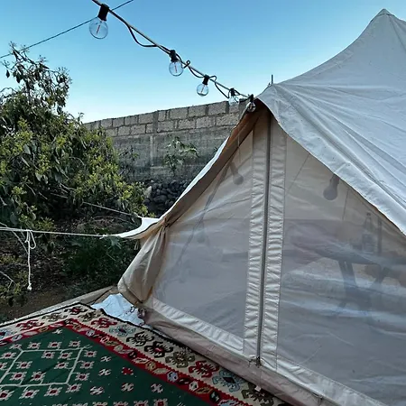 Yurt In Avocado Garden *