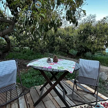 Luxussátor Yurt In Avocado Garden *