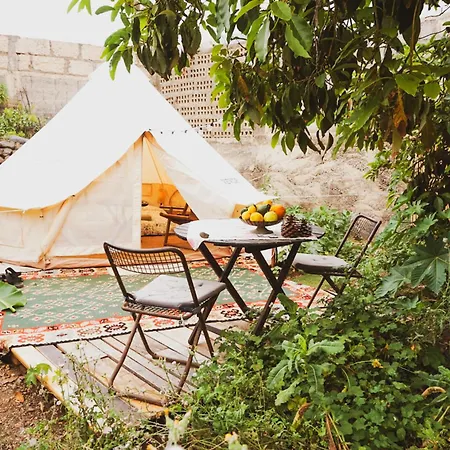 Yurt In Avocado Garden