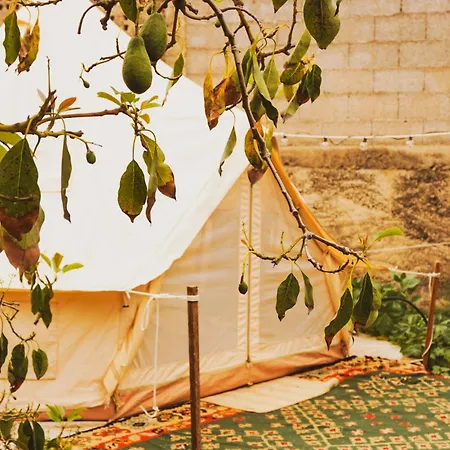 Campo de lujo Yurt In Avocado Garden *