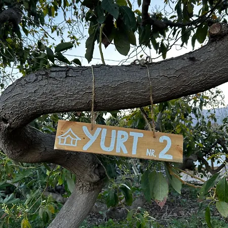 Yurt In Avocado Garden * 기마르