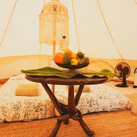 Yurt In Avocado Garden 기마르